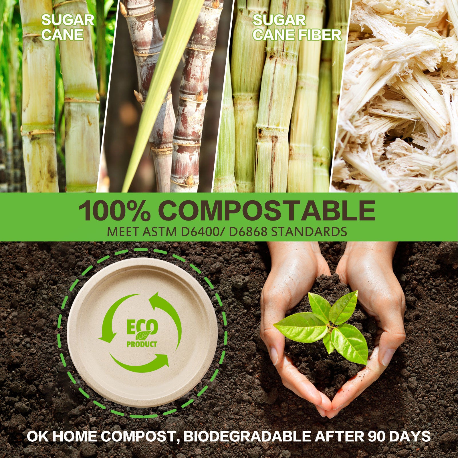  hooray mida 100% Compostable Paper Plates - 10 Inch, Bulk 300  Count - Disposable, Heavy Duty, Biodegradable Plates Made of Bagasse -  Eco-Friendly, Large Size (Natural) : Health & Household